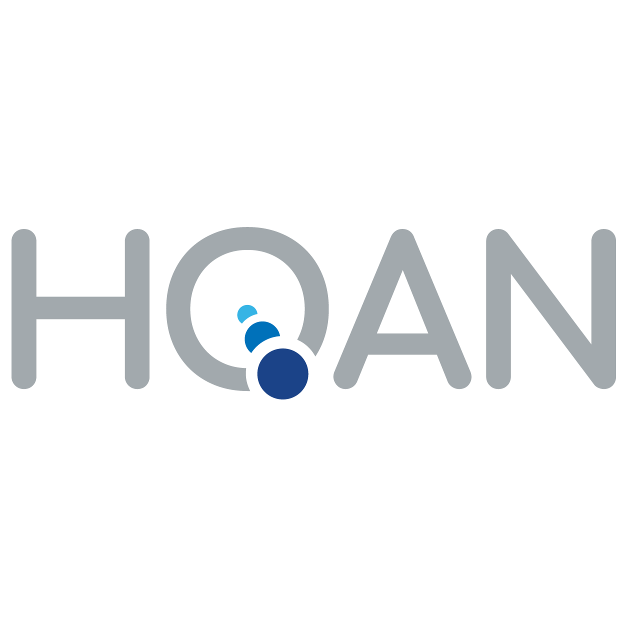 Hybrid Quantum Architectures and Networks